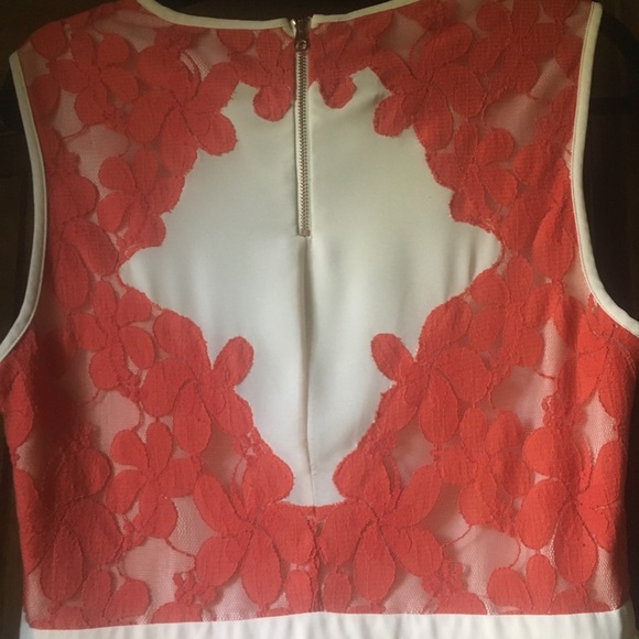 Ted Baker London Lace Colorblocked Dress - Picture 5 of 7